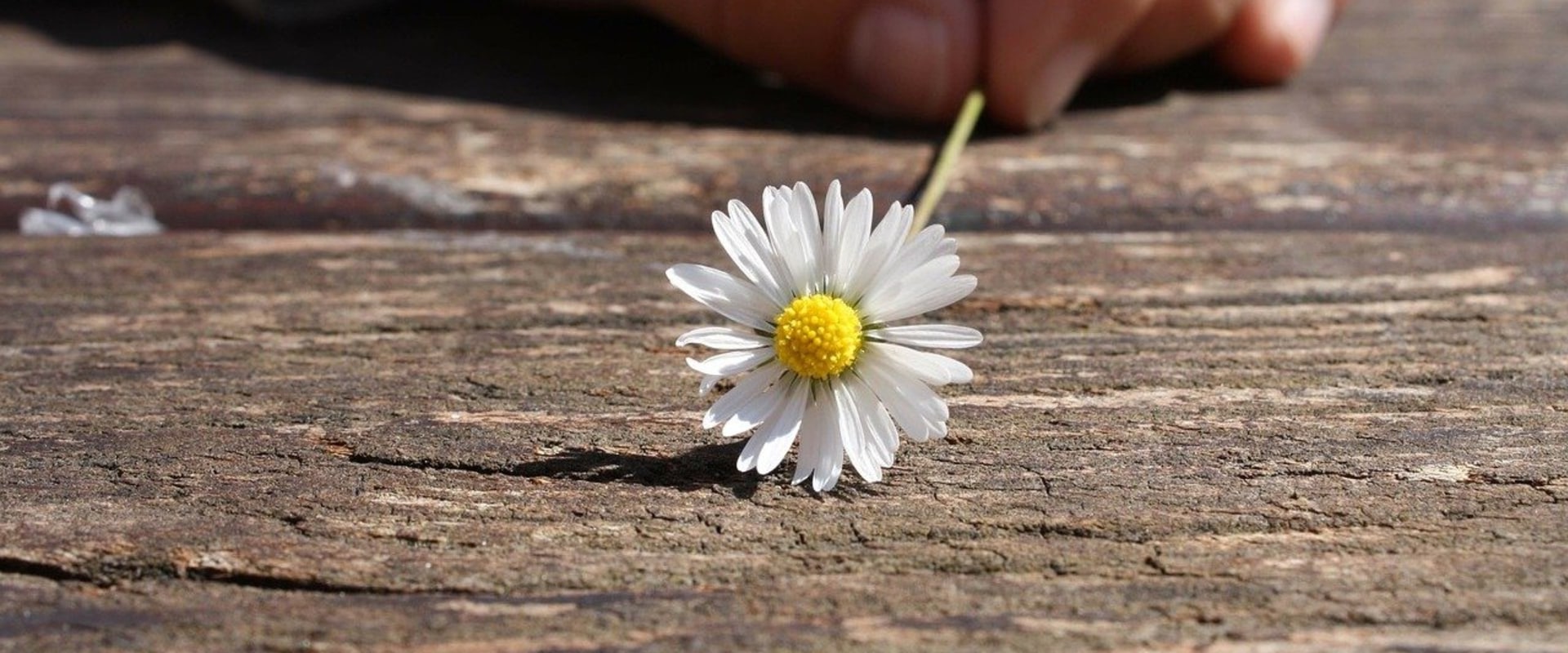 Die drei Ebenen der Positiven Psychologie erschließen